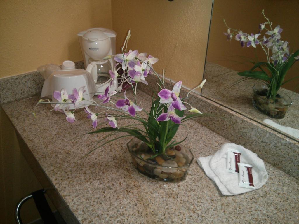 Inn Cheraw Quarto foto